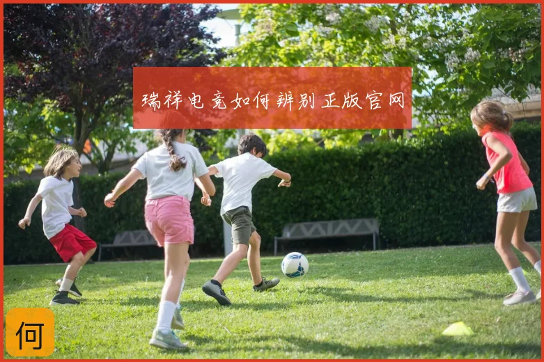 瑞祥电竞如何辨别正版官网